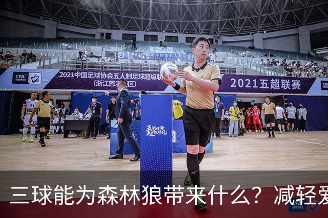 三球能为森林狼带来什么？减轻爱德华兹单打负担 麦丹能惩罚对手